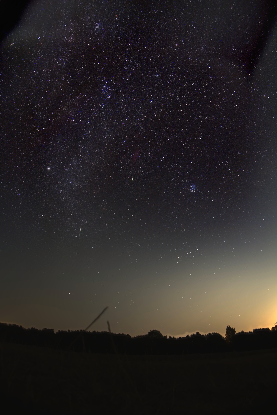 The deep star field over the meadow with four meteor trails composited in at their true positions